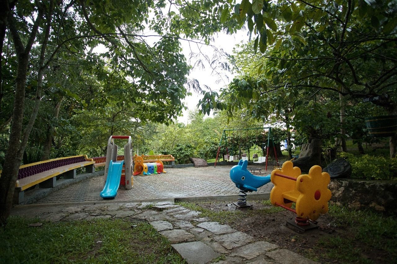 A playground with a slide, swings, and a climbing structure surrounded by trees.