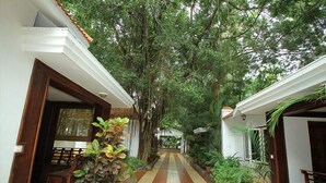 A corridor with a tiled floor, flanked by potted plants and wooden doors, leading to a building with a white exterior and a tiled roof. - Raja Park Beach Resort (Varkala)