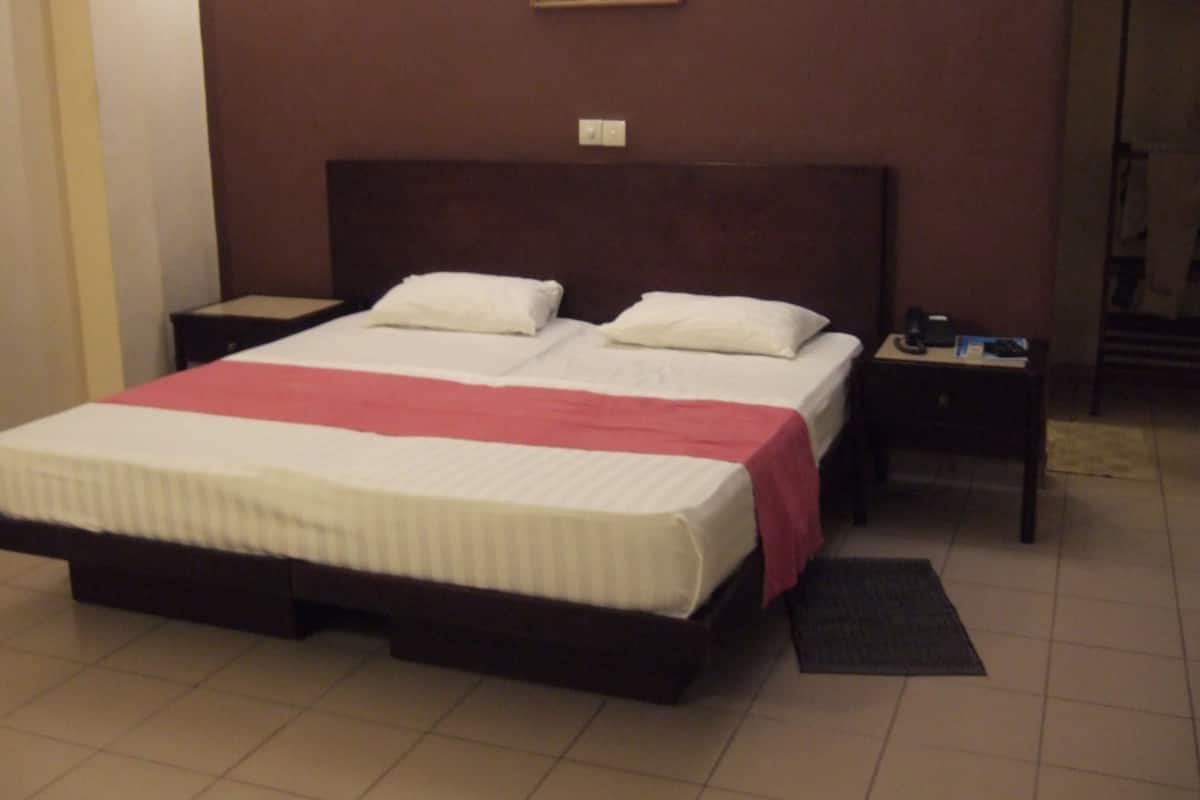 Standard Double Room | Minibar, desk, iron/ironing board (on request), WiFi (free)
