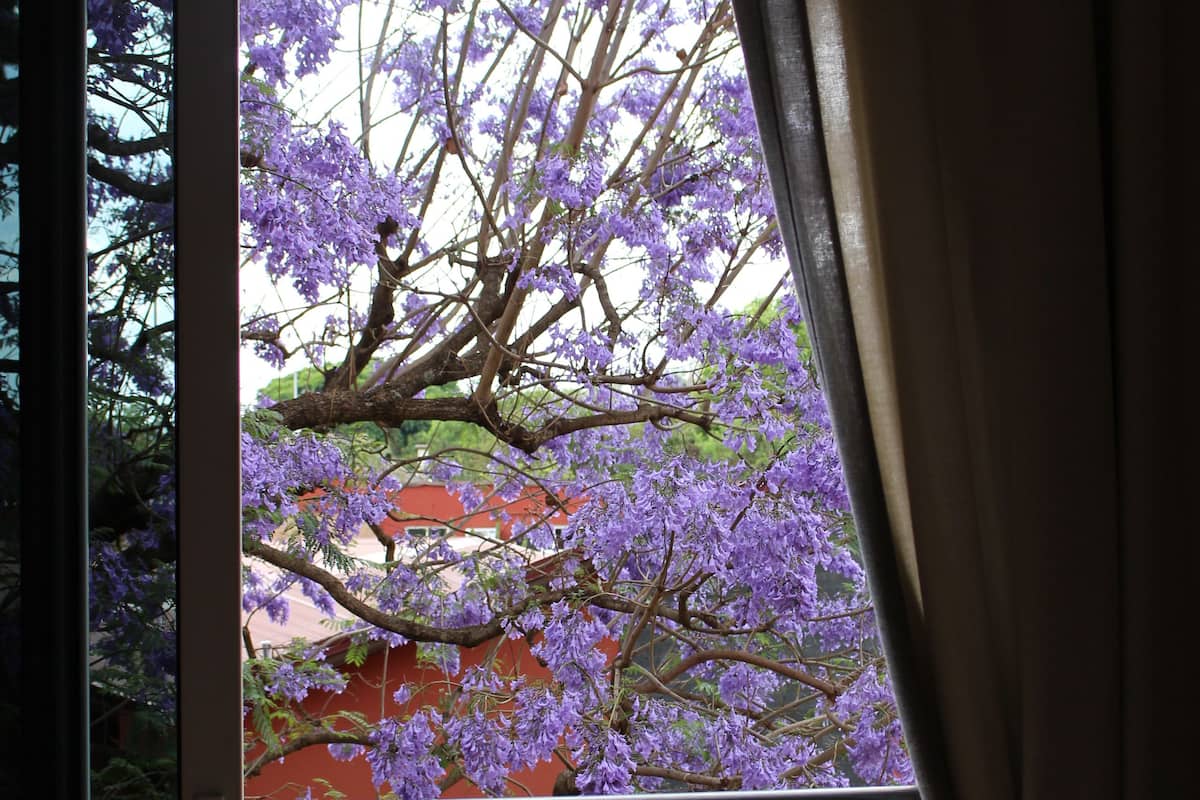 double room | balcony view