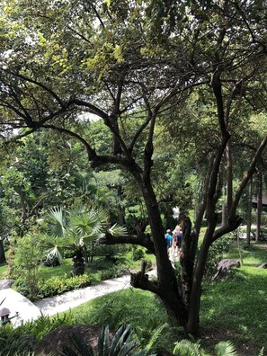 Jardim