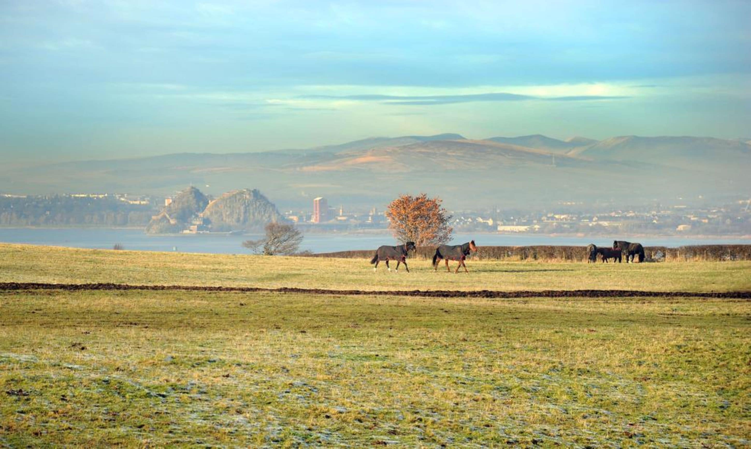 Photo - Ingliston Country Club Hotel