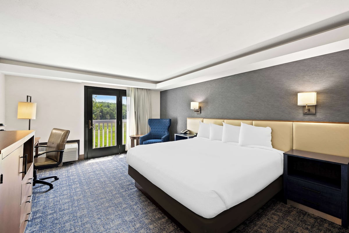 A hotel room with a large bed, a desk, a chair, a nightstand, and a view of the outdoors.