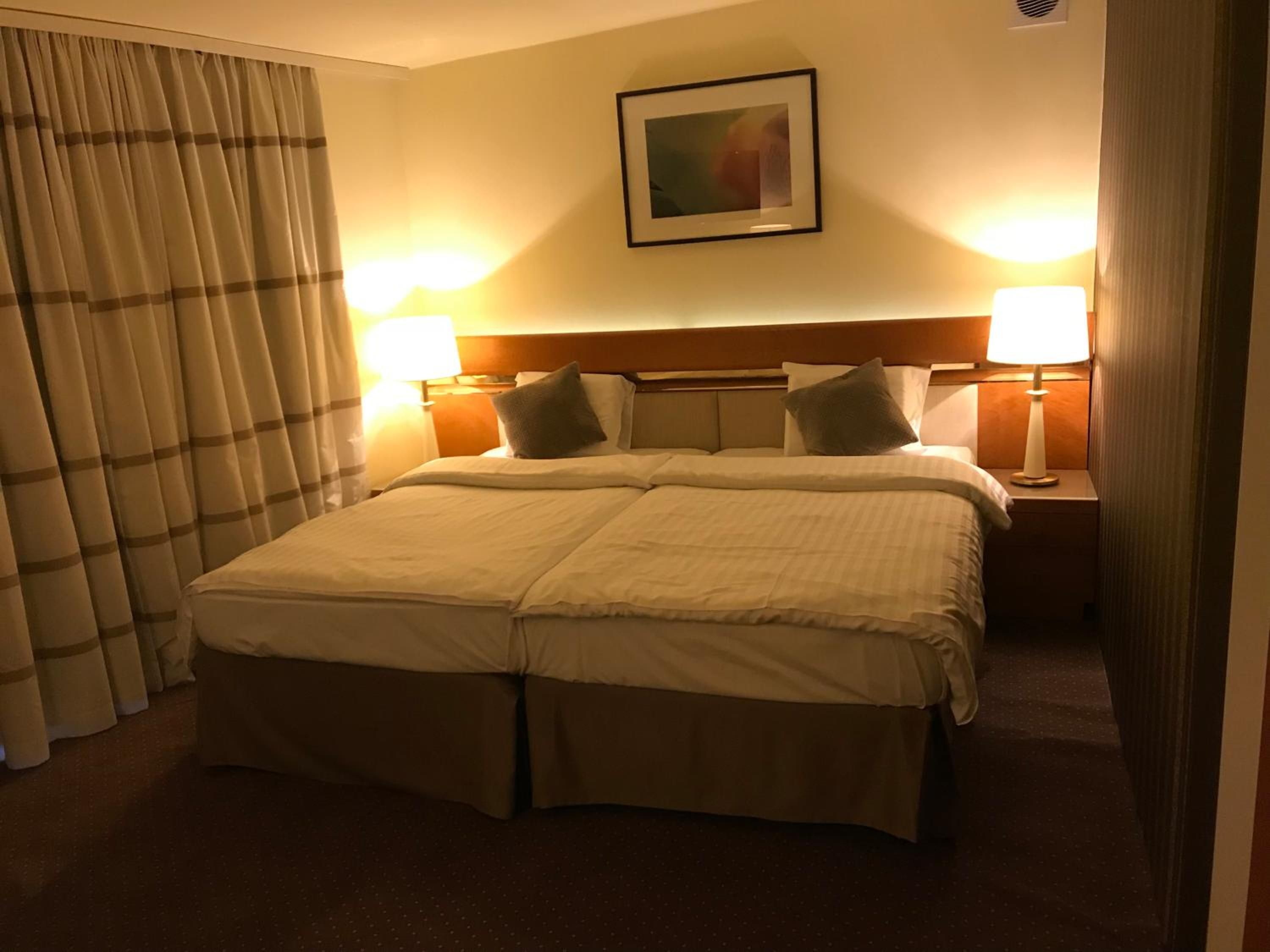 Habitación de hotel con cama doble, dos lámparas de noche, cabecero y un cuadro en la pared.