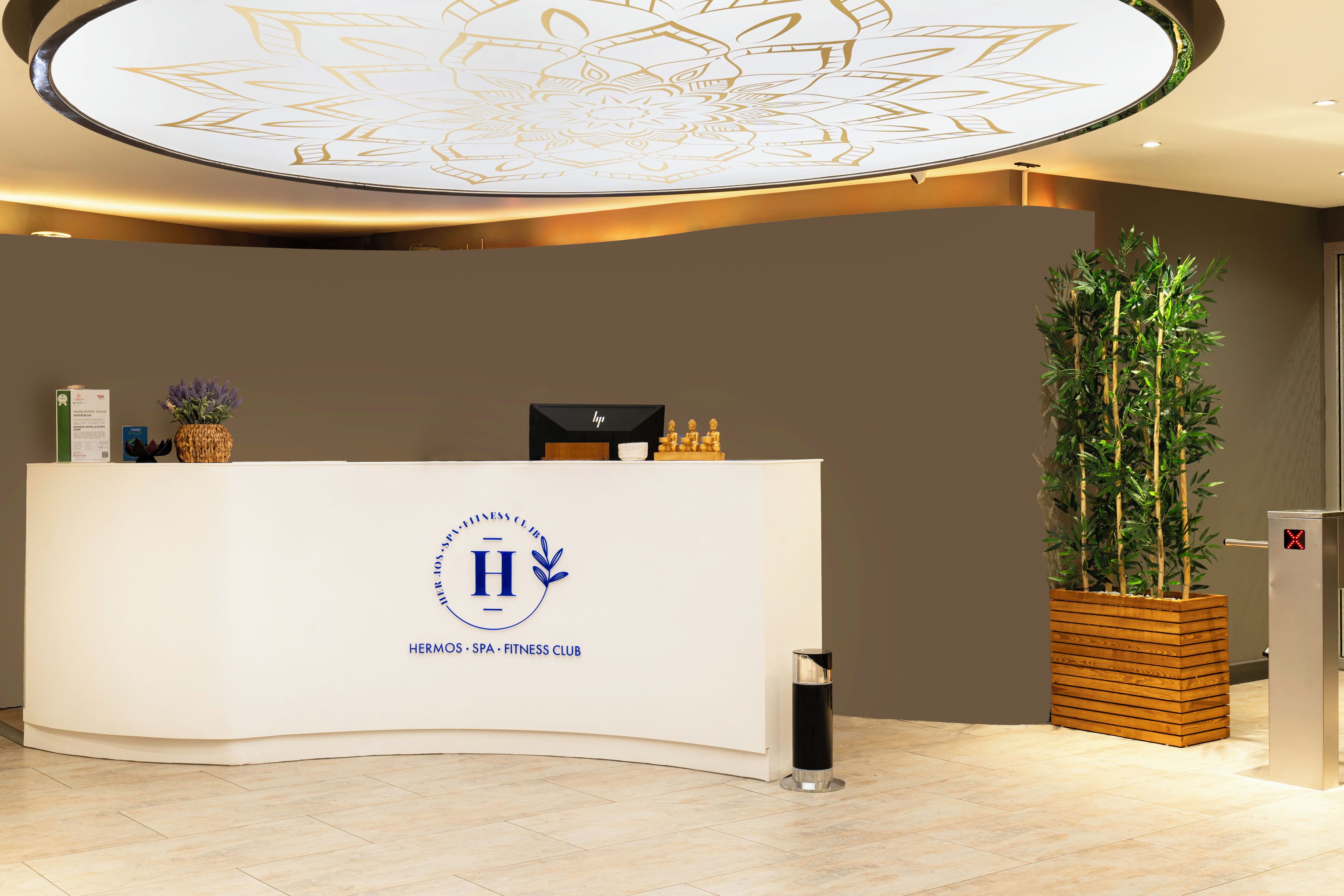 A reception desk with a logo, a potted plant, and a modern ceiling design.