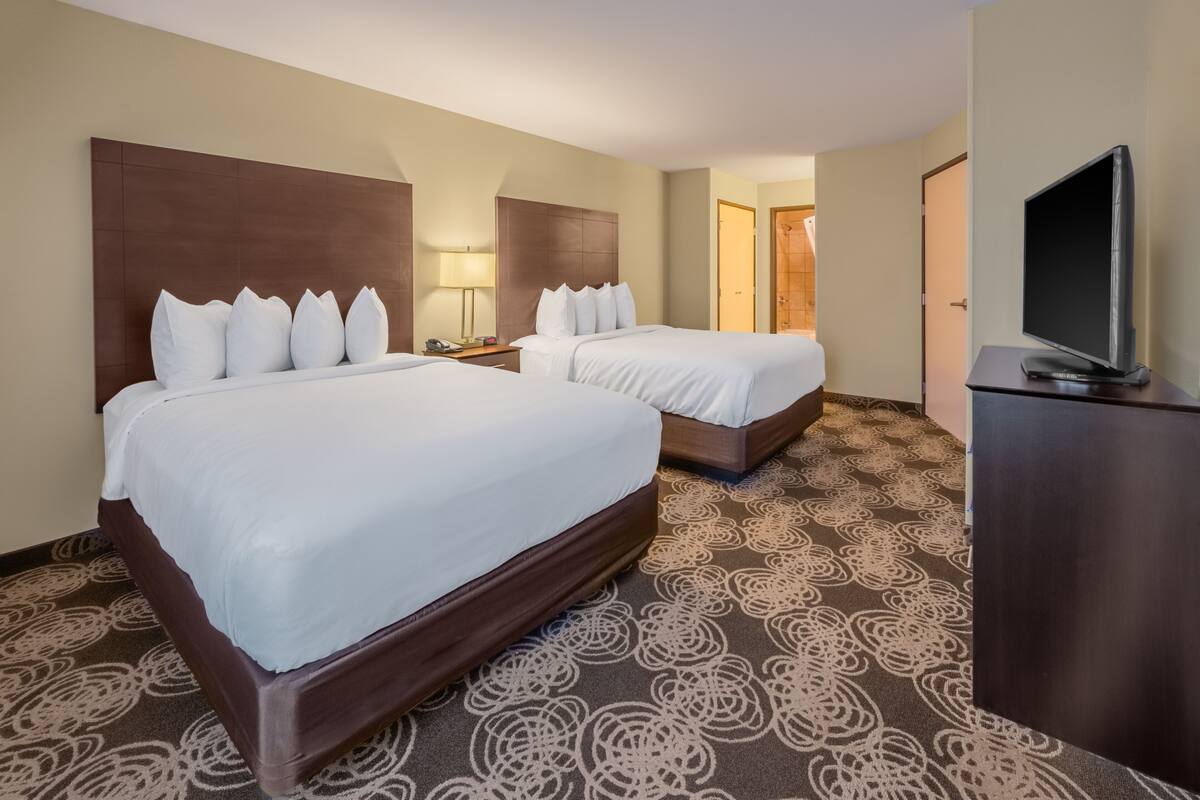 A hotel room with two beds, a TV, and a patterned carpet.
