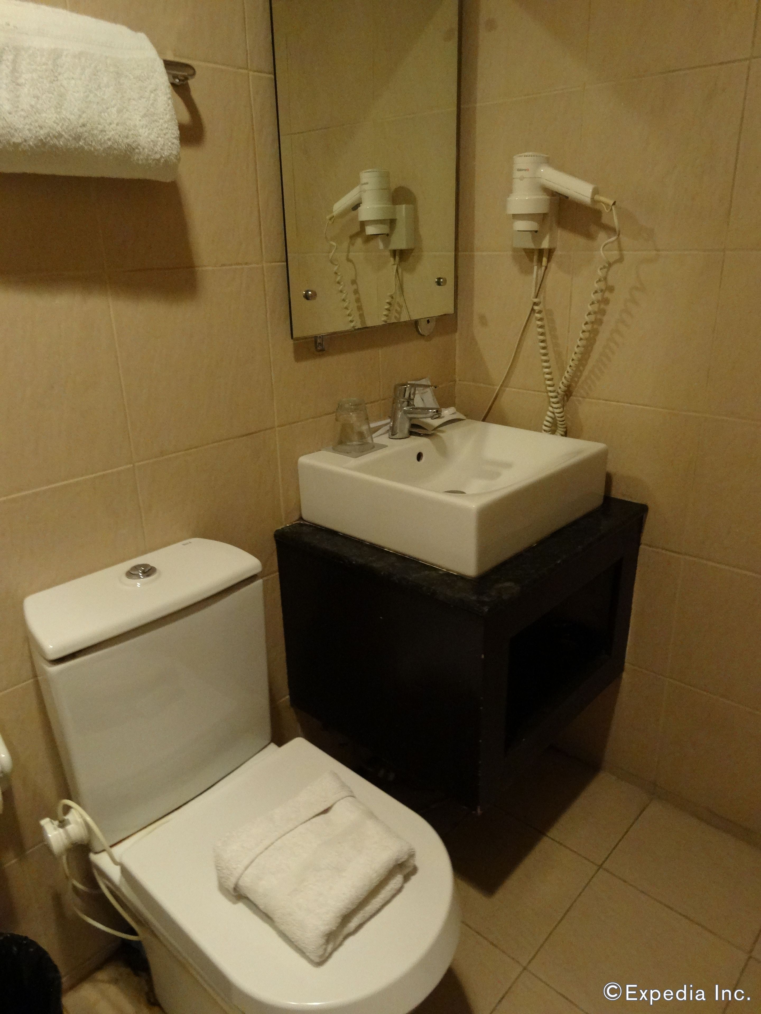 deluxe single room, 1 queen bed, accessible | bathroom | shower, free toiletries, hair dryer, towels