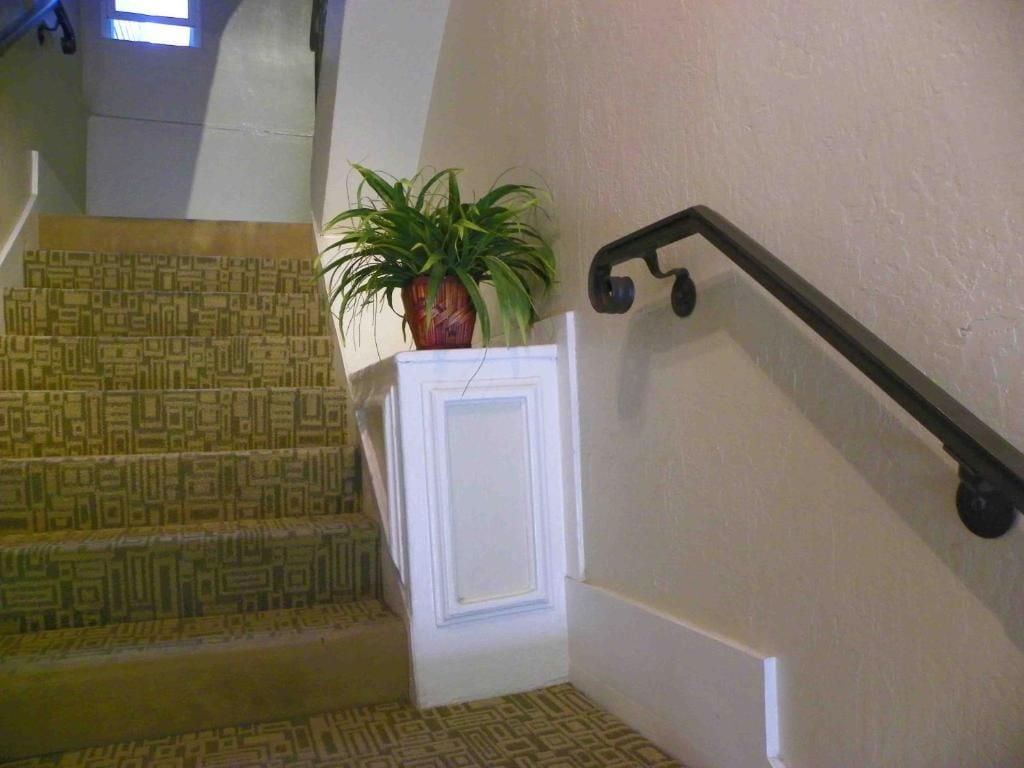 Eine Treppe mit gemustertem Teppich, einer Topfpflanze und einer weißen Tür.