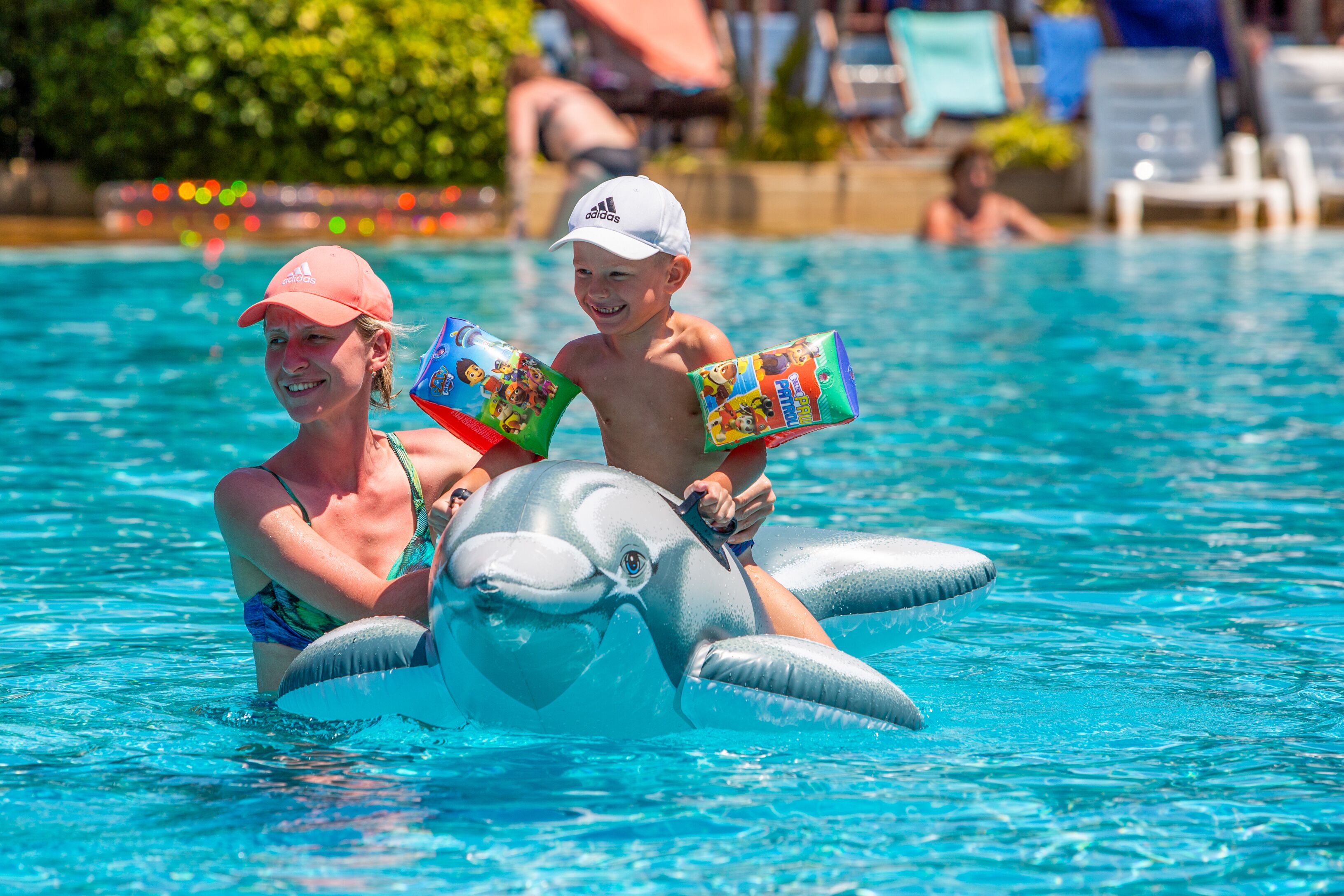 A swimming pool with inflatable dolphin toys.