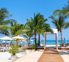 Un restaurante frente a la playa con mesas al aire libre, palmeras y vistas al océano.