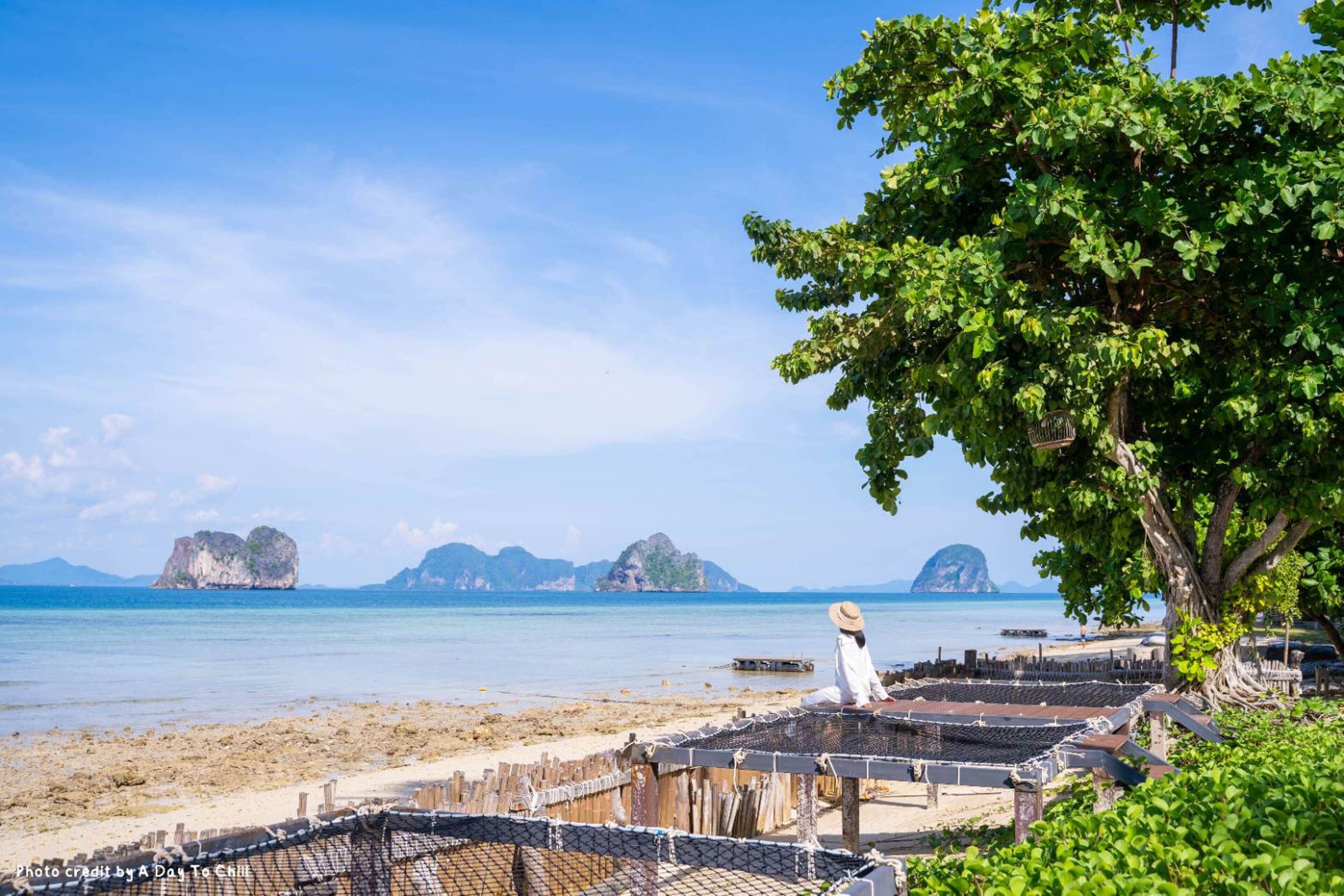 A beach with a wooden fence, a tree, and a person in white.
