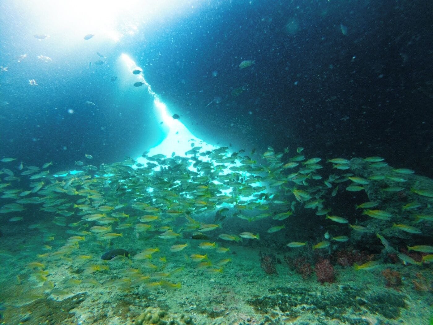 on the beach, sun-loungers, beach towels