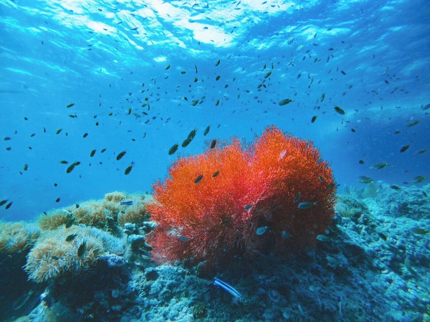 Foto - Mayalay Resort-Green Hotel