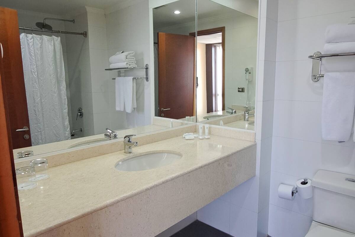 combined shower/bathtub, free toiletries, hair dryer, towels