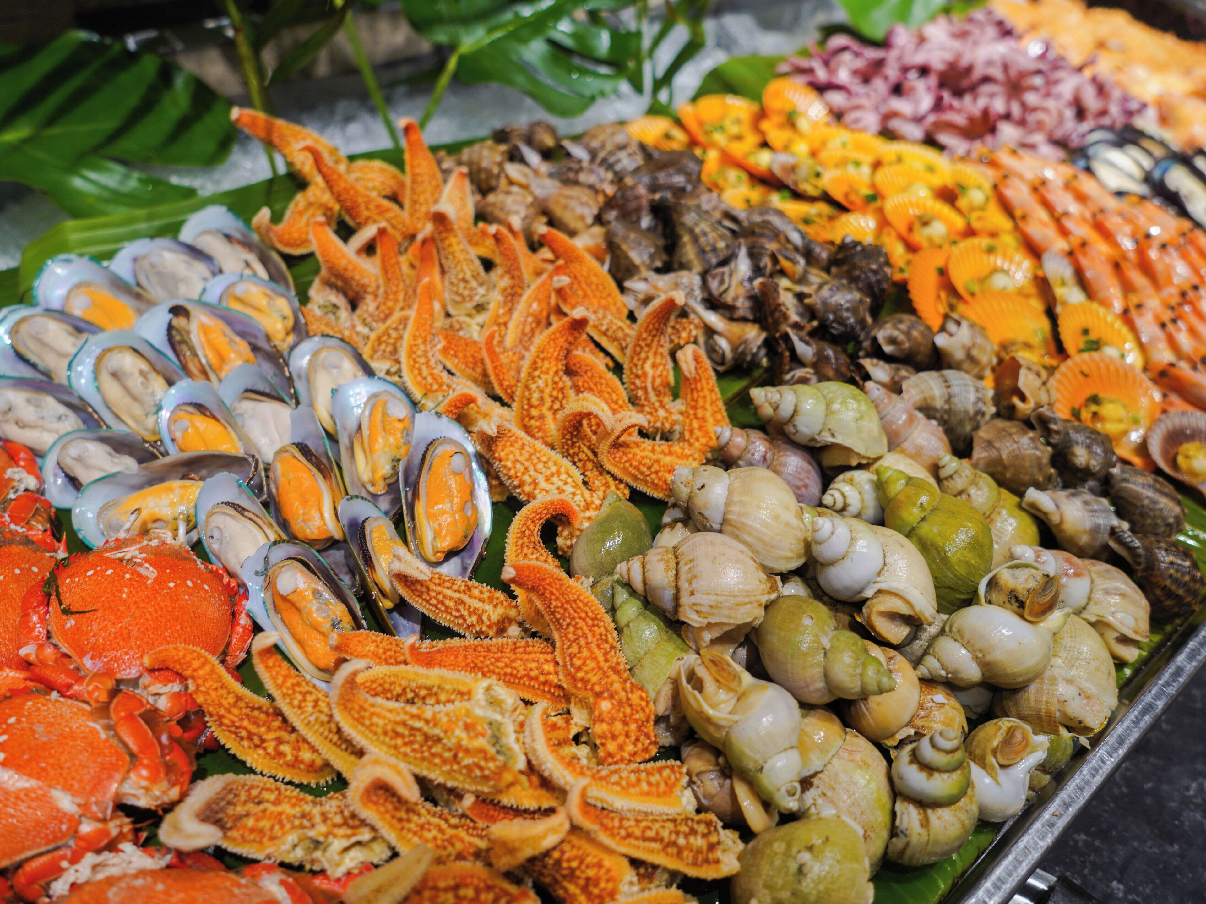 Variedad de mariscos, incluyendo cangrejos, mejillones y almejas, exhibidos en un mercado.