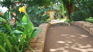 Un chemin de jardin bordé de briques, entouré d’une végétation luxuriante et agrémenté d’une fleur jaune.