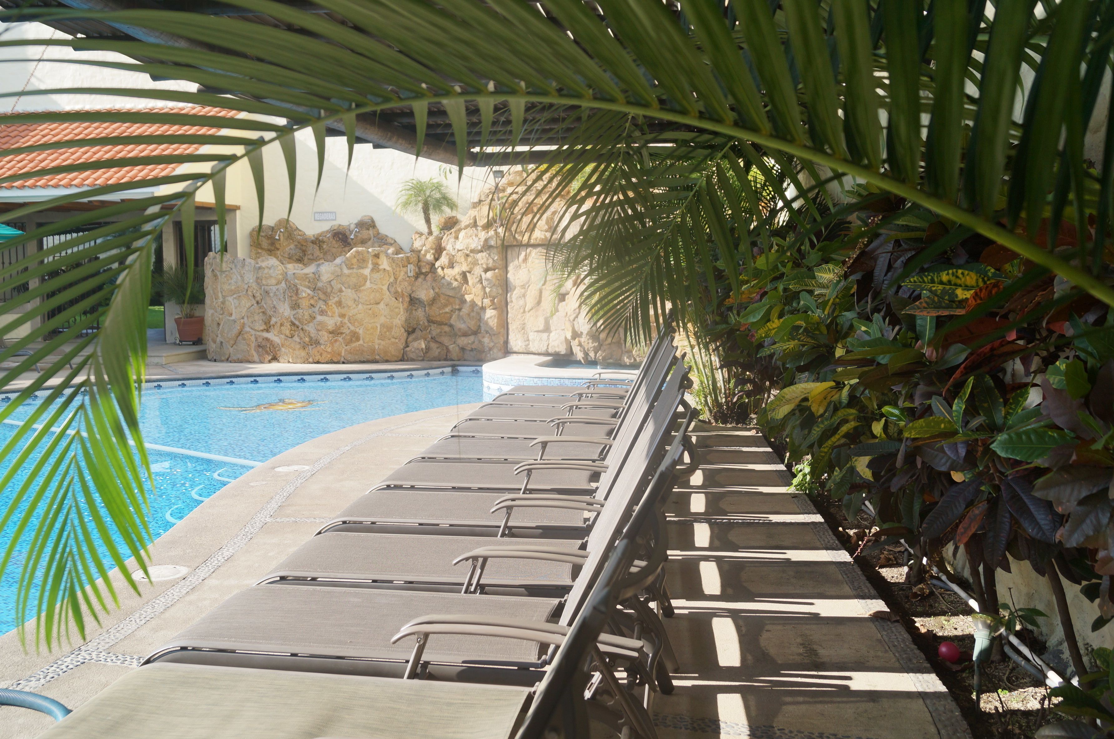 Un área junto a la piscina con sillas de descanso, un muro de piedra y plantas tropicales.