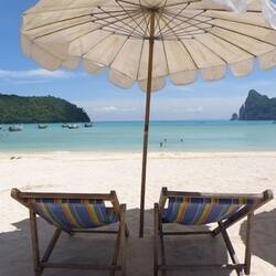 Plage à proximité, parasols, bar de plage, pêche sur place