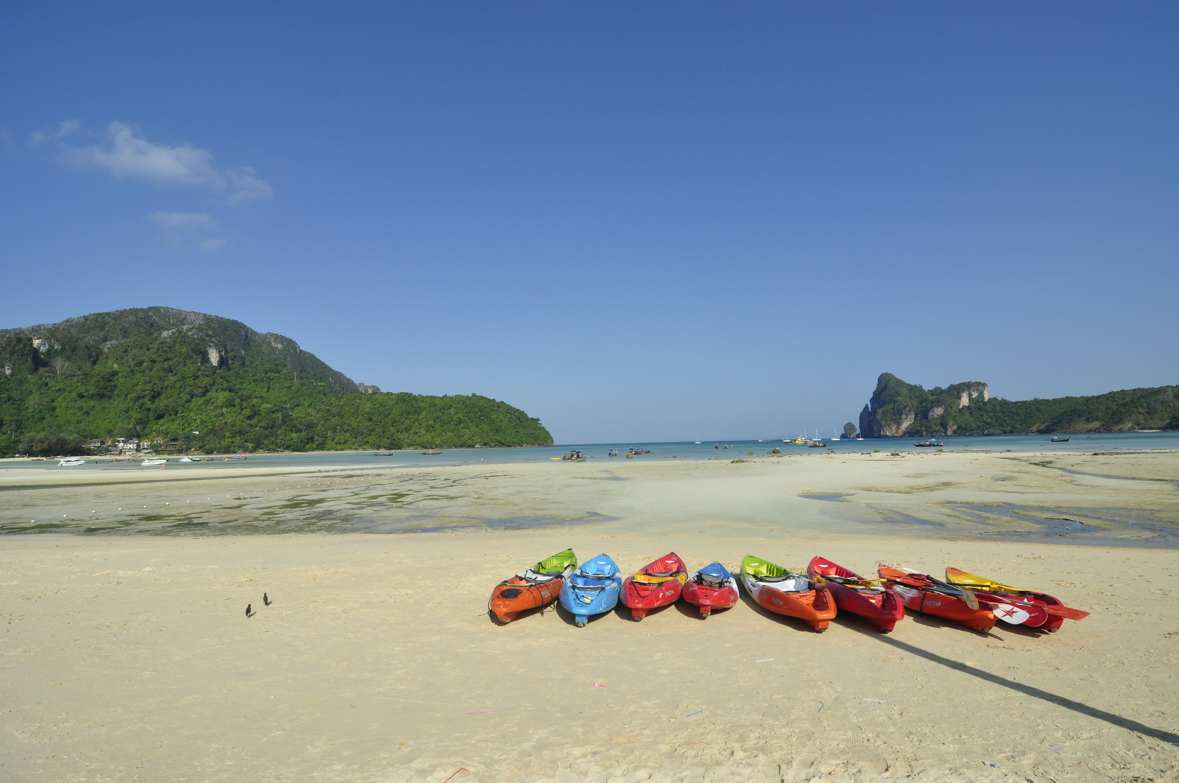 A beach with kayaks lined up and a mountainous backdrop.