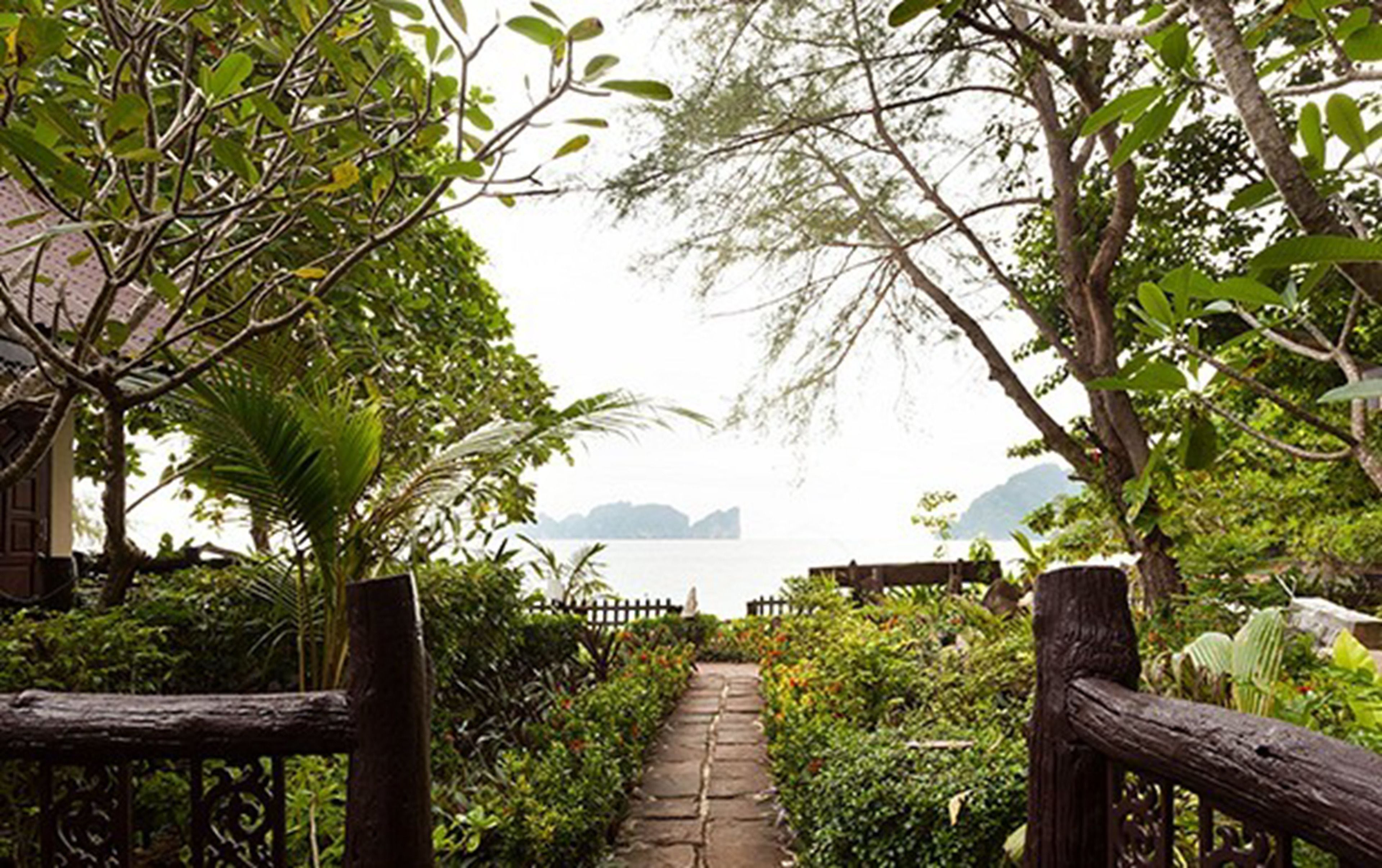 Family Bungalow (Beach Front) | View from room