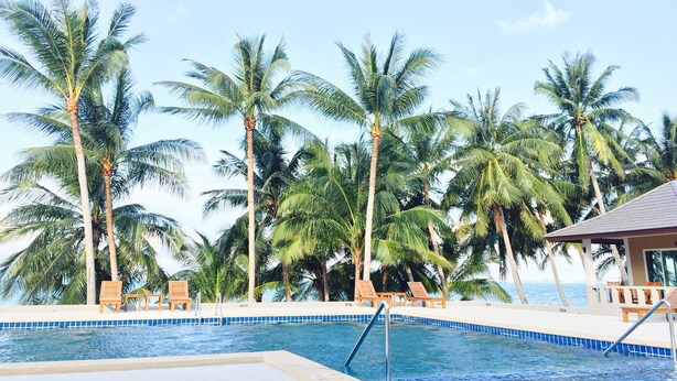 A pool area with lounge chairs and palm trees. - Shangrilah Bungalow (Koh Samui)