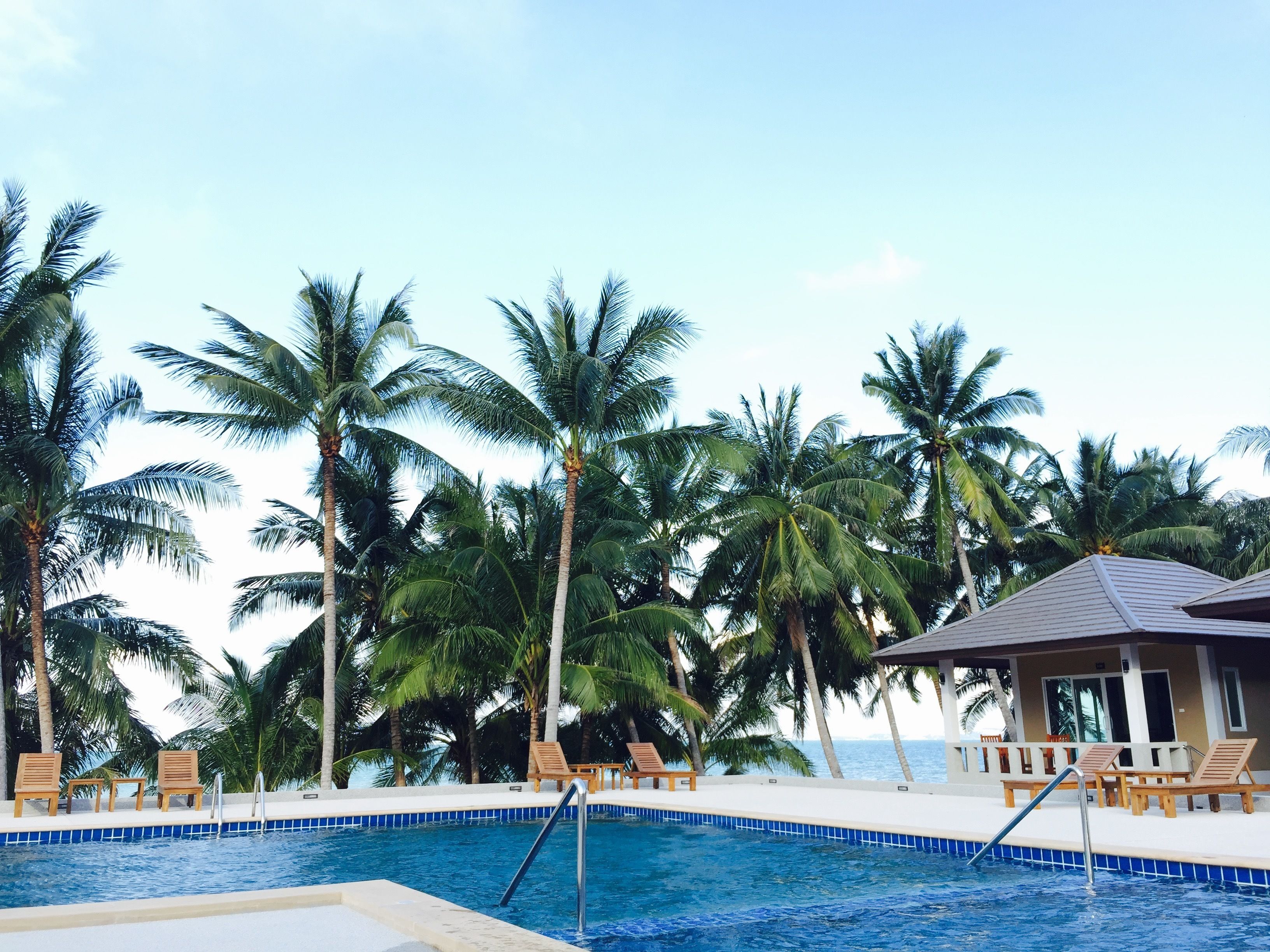 Zona de piscina con sillas de descanso y palmeras, rodeada por un edificio con techo de tejas.