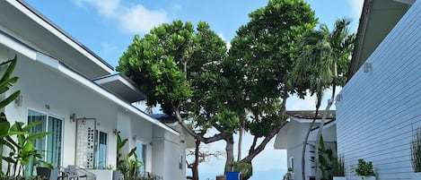 Superior Poolside | Beach/ocean view