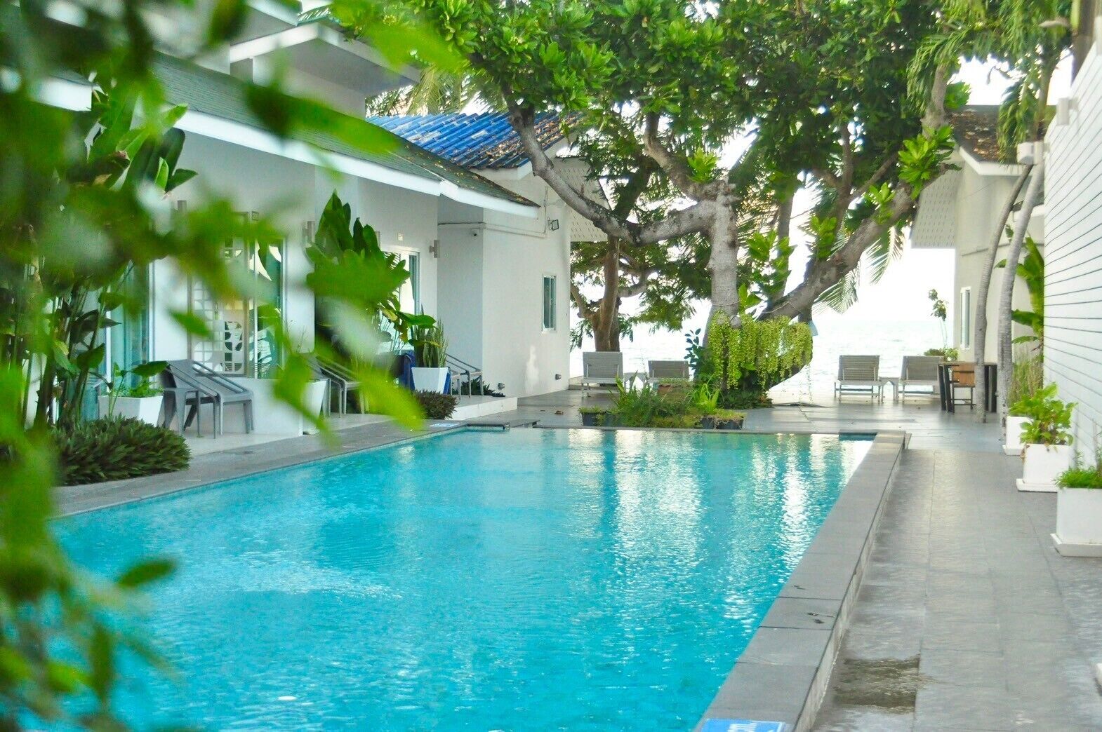 حمّام سباحة خارجي