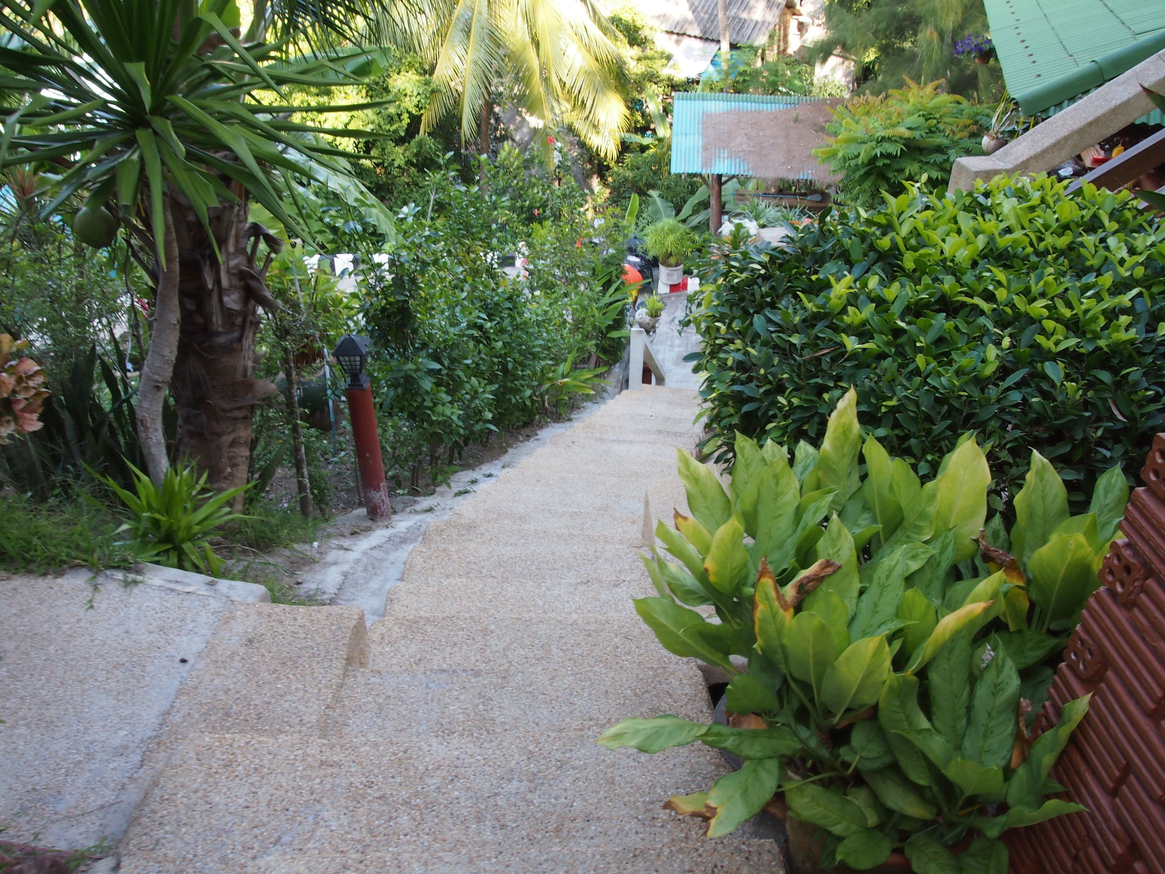 Photo - Palm Point Village