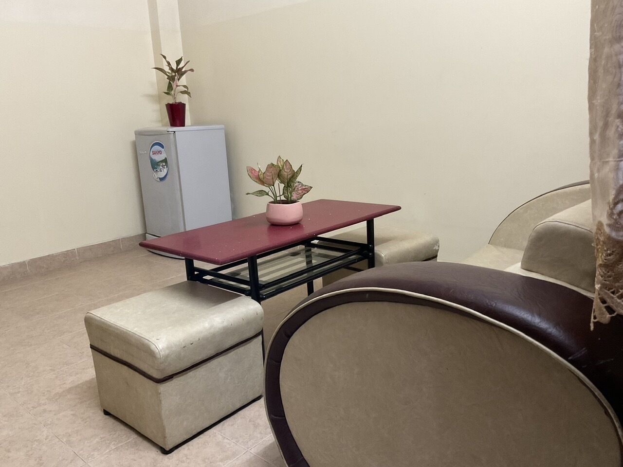 A small, compact room with a single table and two chairs. A refrigerator is visible in the background, and a potted plant is on the table.
