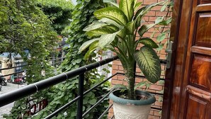 Ein Balkon mit Topfpflanze, Metallgeländer und Holztür.