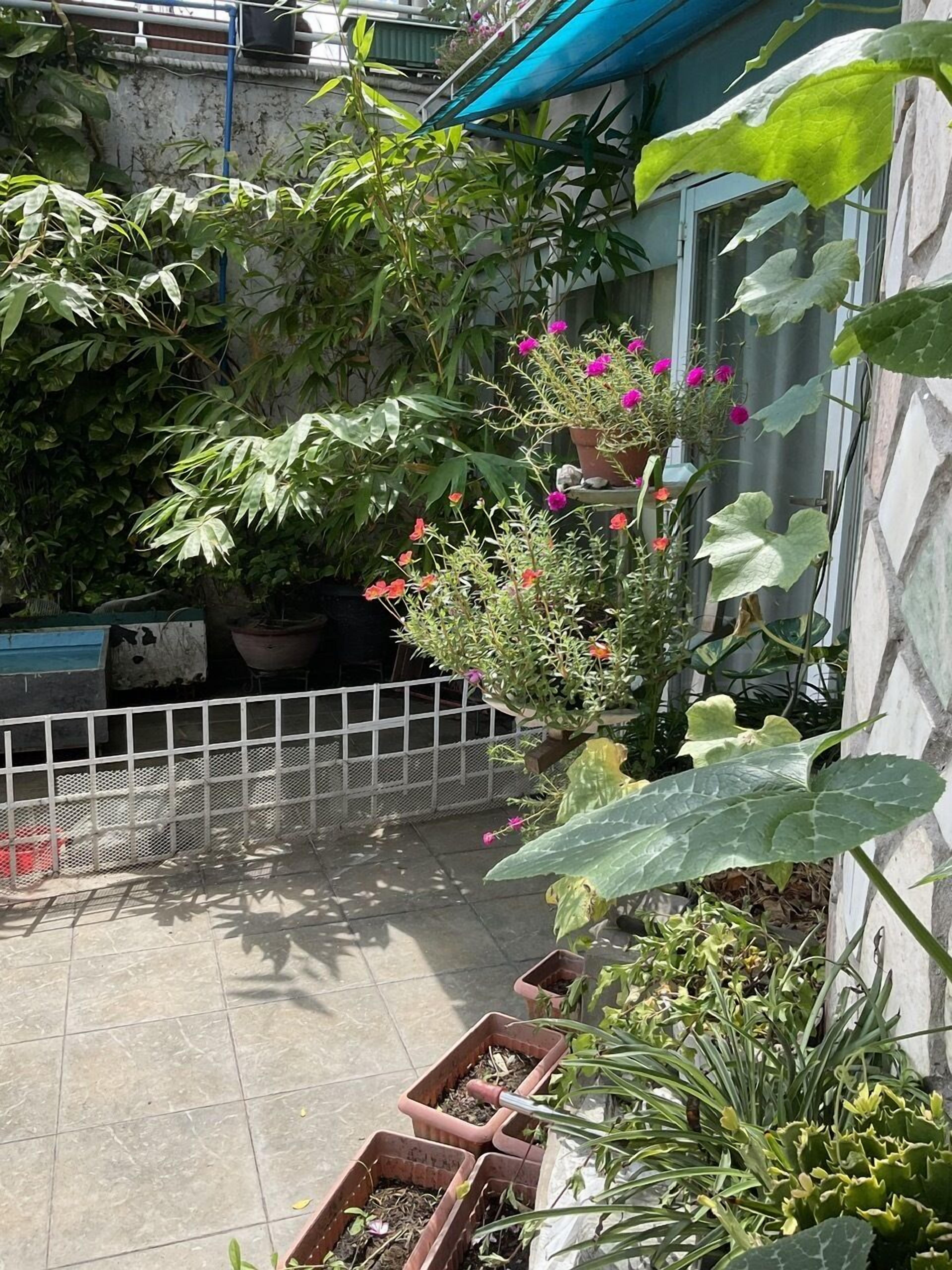 Um jardim com diversas plantas e flores em vasos, cercado por uma vedação branca, e um espaço de pátio com piso de azulejos.
