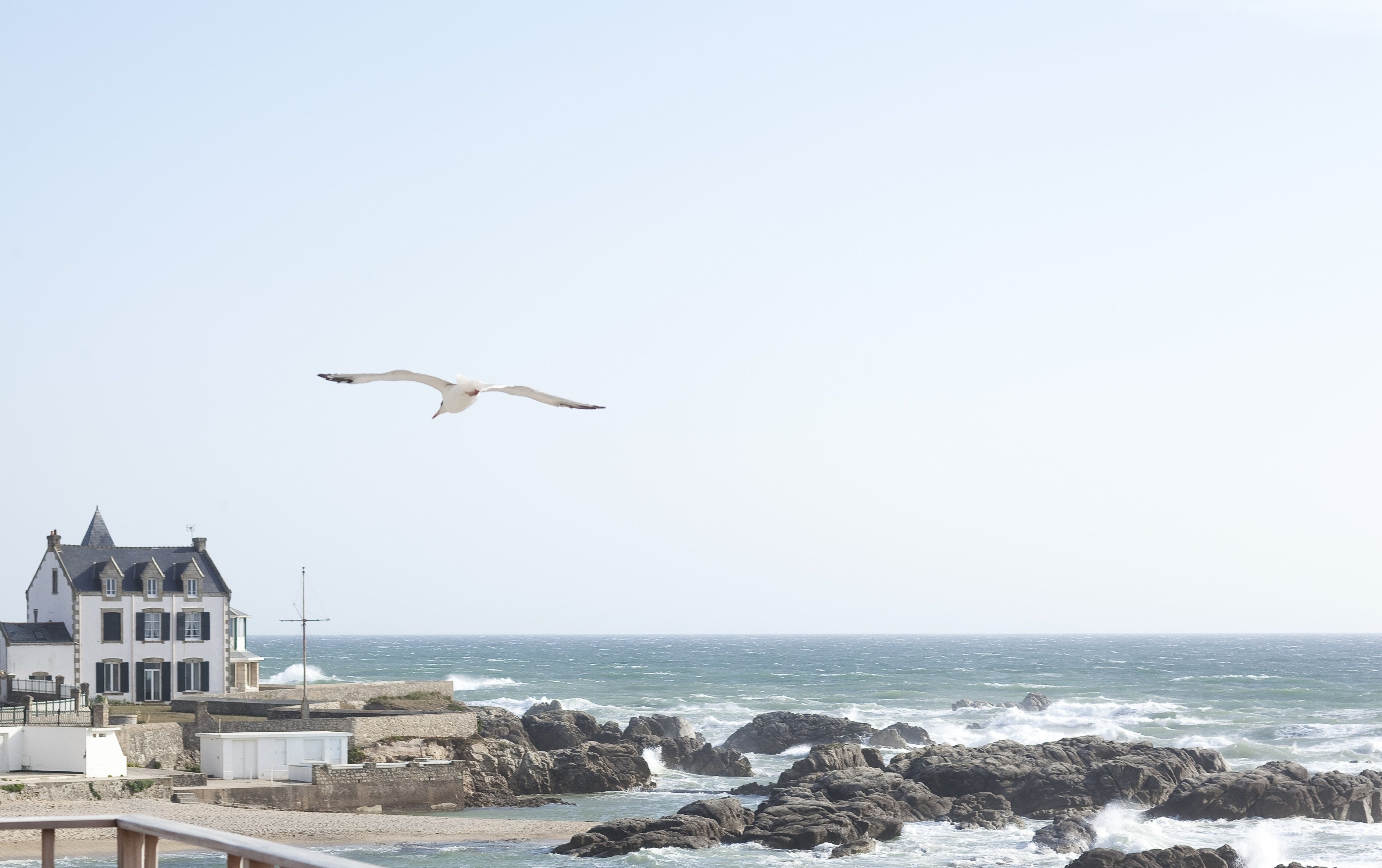 on the beach, white sand