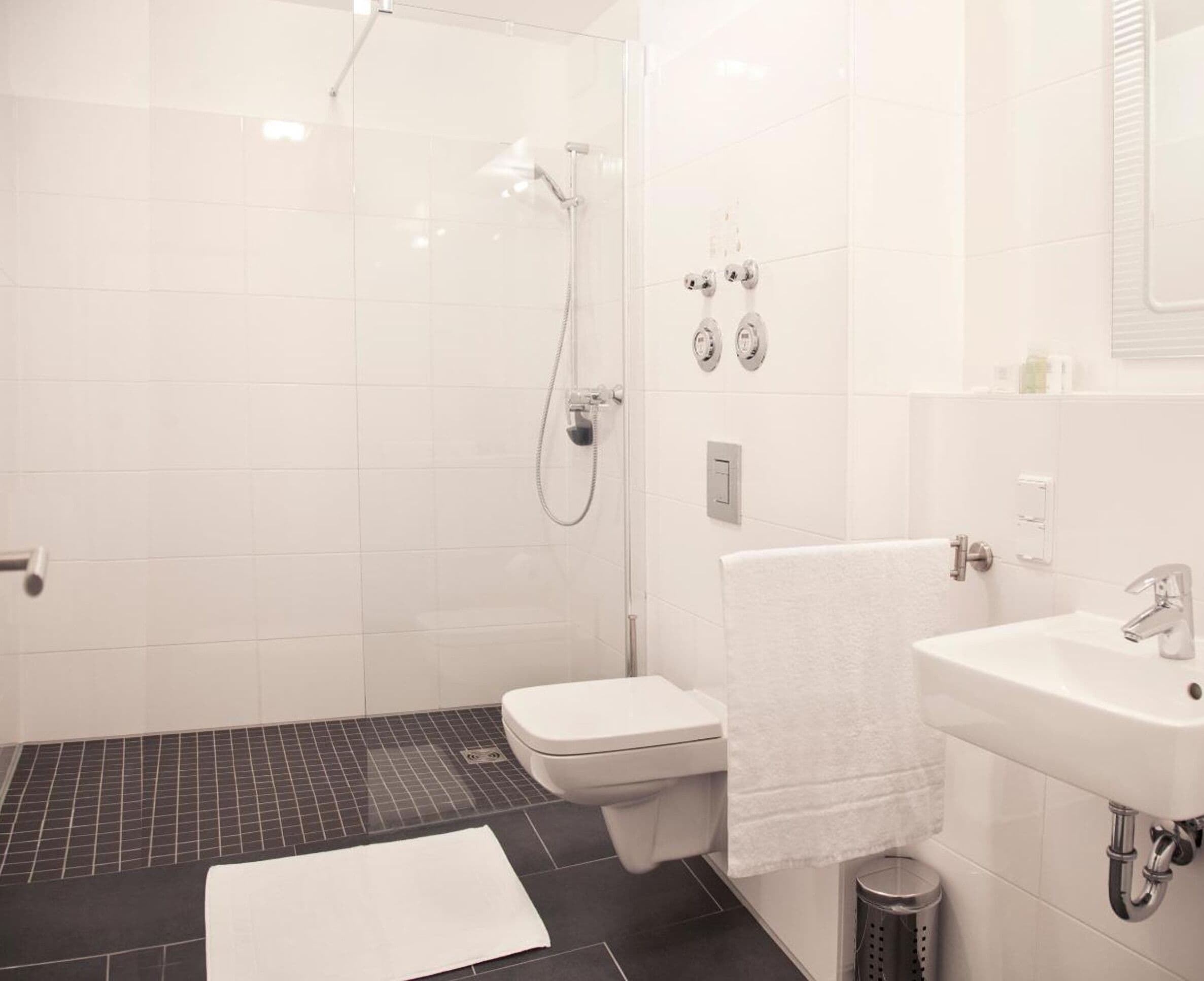 shower, free toiletries, hair dryer, slippers