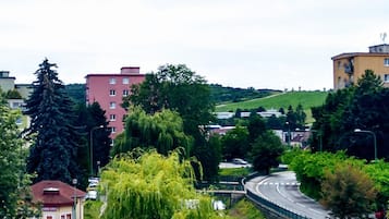 A river with a bridge, surrounded by greenery and buildings.