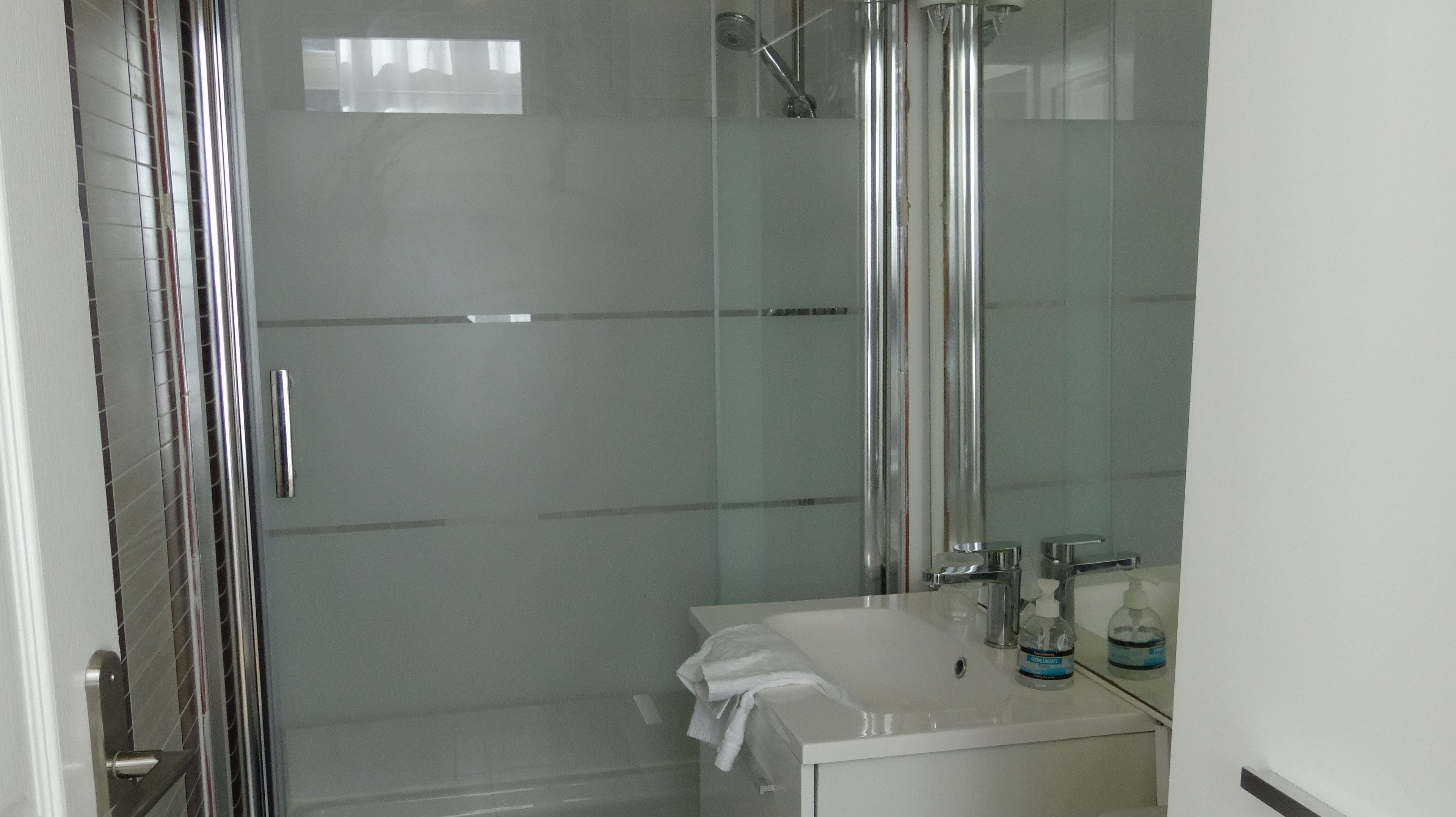 A modern bathroom with a glass shower enclosure, a white sink, and a mirror.