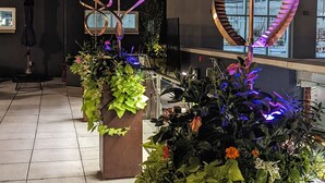 Een modern interieur met abstracte metalen sculpturen en potplanten.