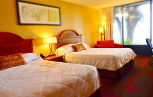 Ropa de cama de alta calidad, colchones con pillow-top y escritorio 