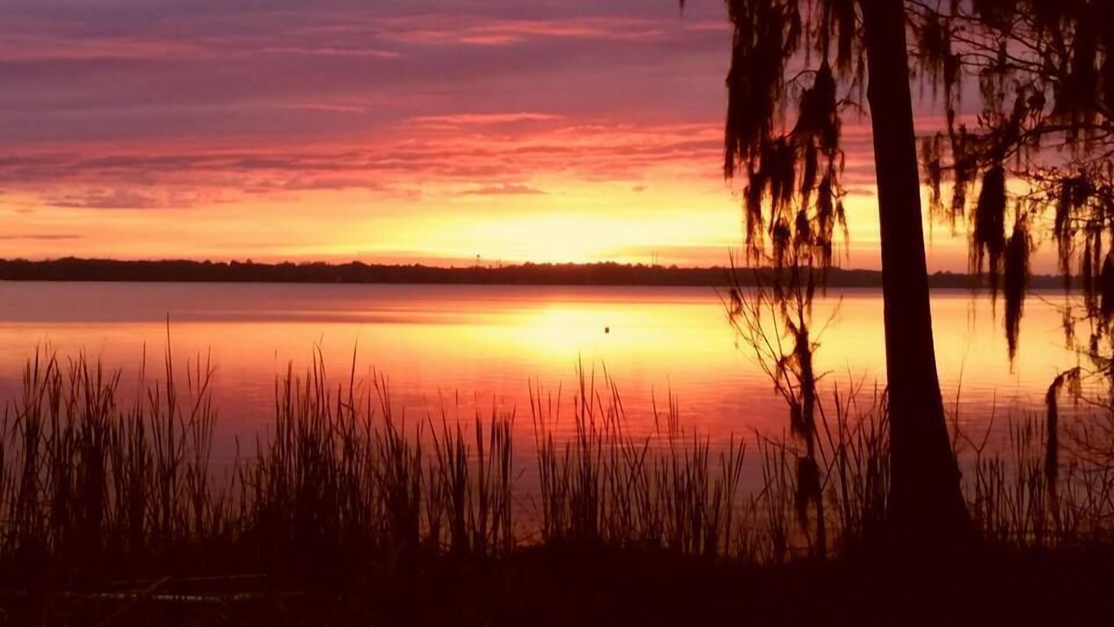 Un atardecer sobre un lago tranquilo, con siluetas de árboles y juncos.