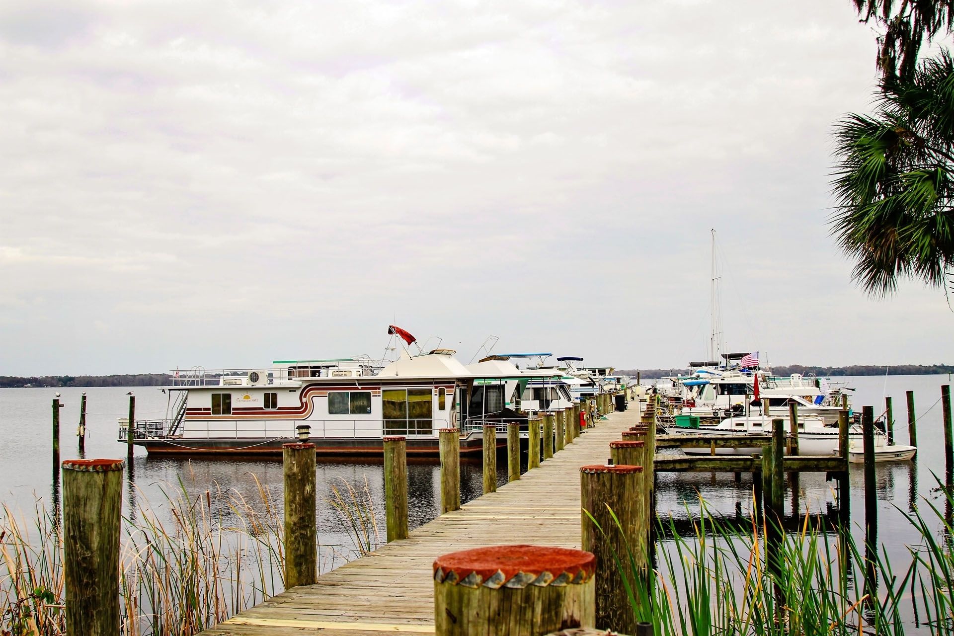 Dock
