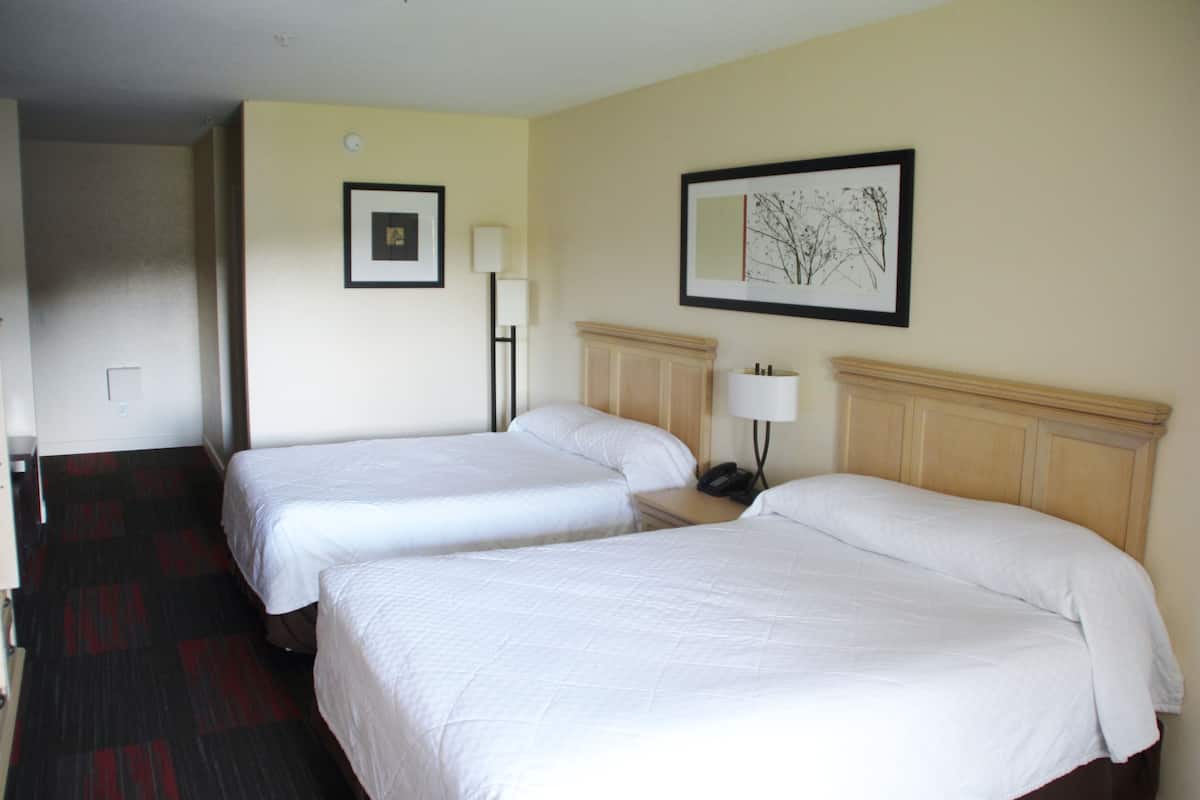 Habitación de hotel con dos camas individuales, una mesita de noche con lámpara, un cuadro en la pared y suelo alfombrado.