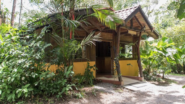 A small wooden structure with a sloped roof, surrounded by dense tropical vegetation. - Arenal Oasis (La Fortuna)