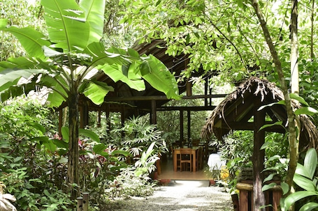 Culinária local. Arenal Oasis