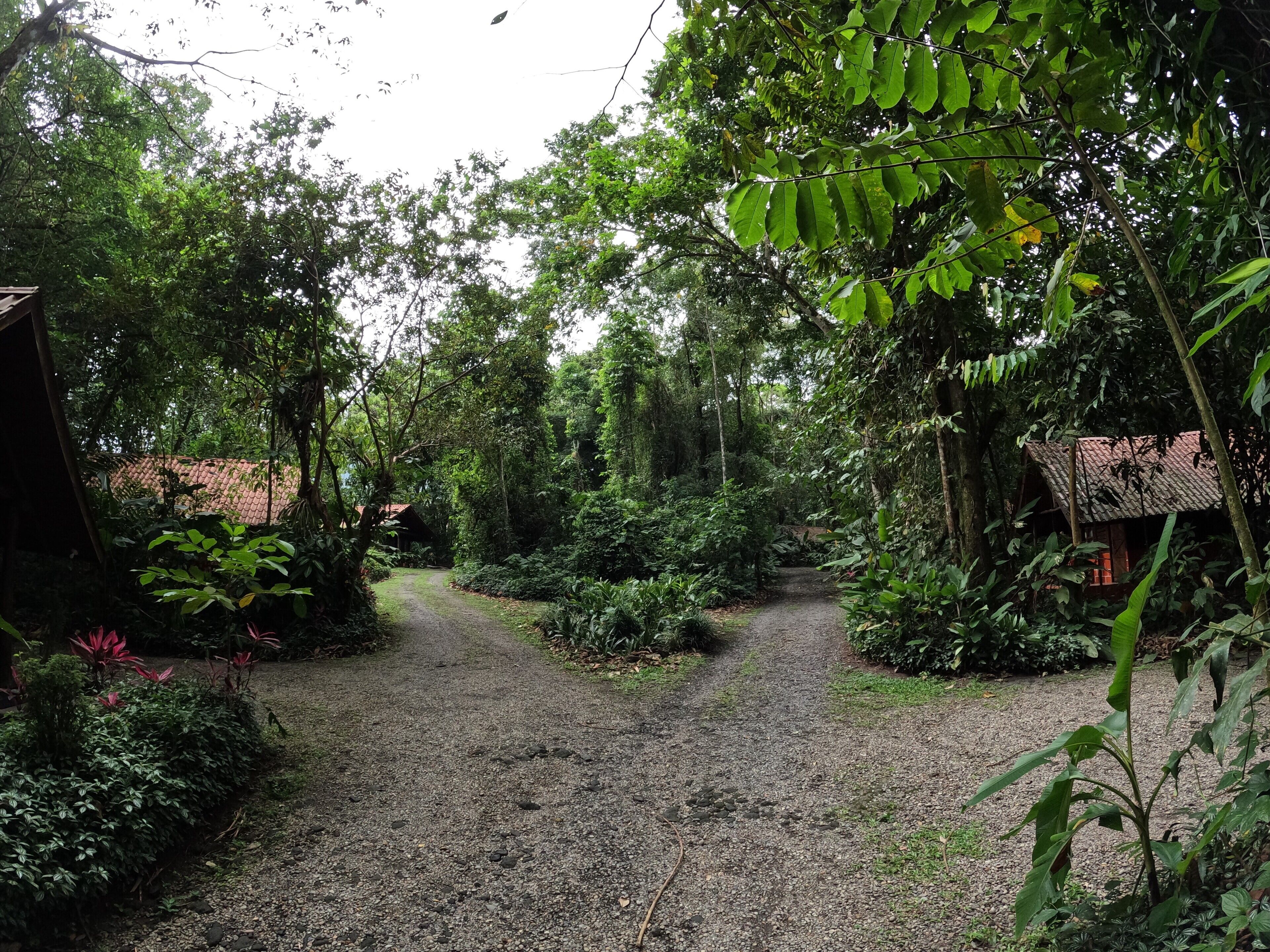 triple room (bungalow) | 1 bedroom, in-room safe, bed sheets