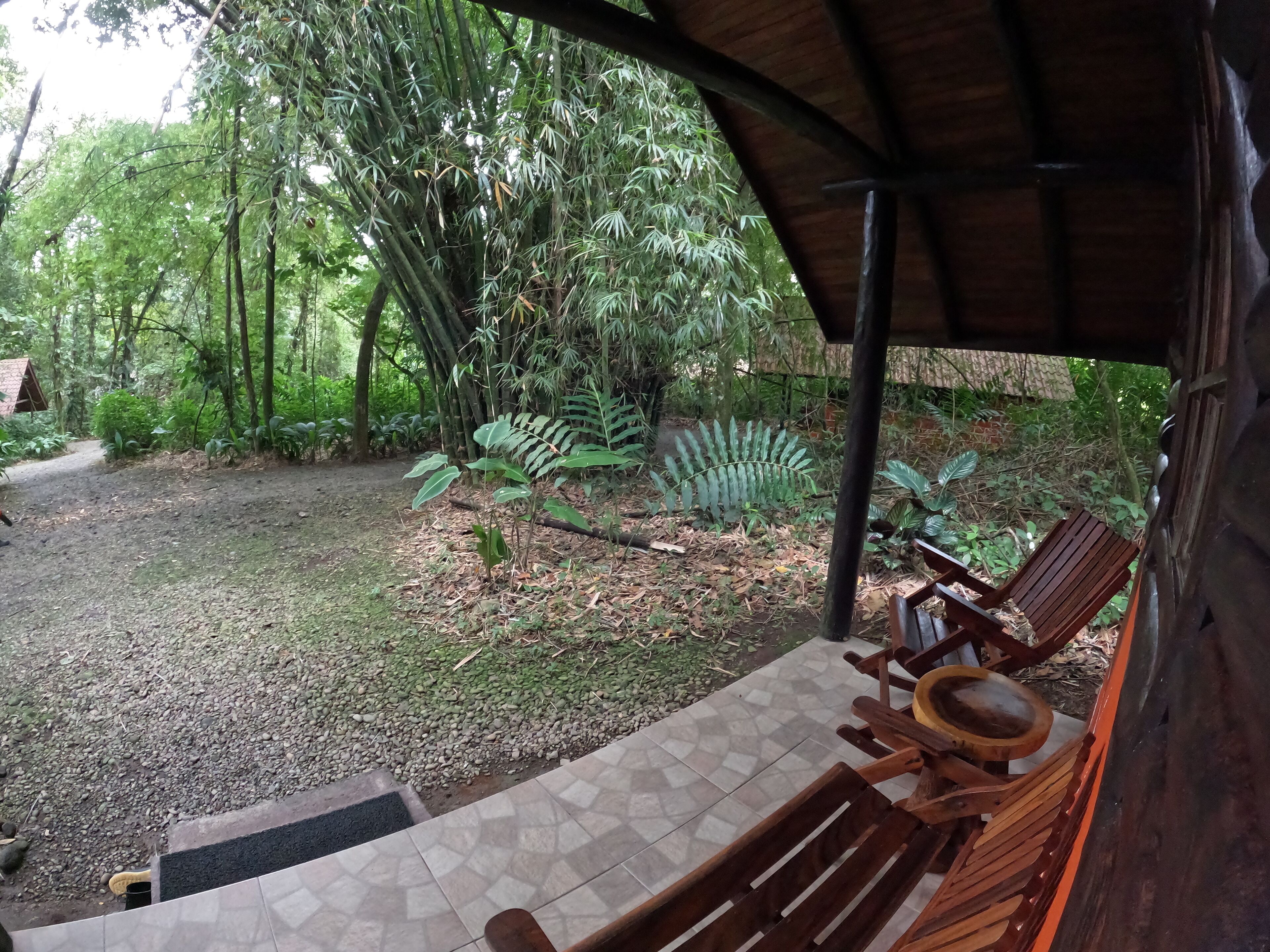 Un espace extérieur abrité, doté de bancs en bois et d’un sol carrelé, entouré d’une végétation luxuriante et d’arbres.
