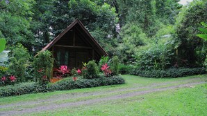 A wooden cabin surrounded by lush greenery and flowering plants. - Arenal Oasis (La Fortuna)