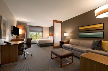 1 bedroom, in-room safe, desk, iron/ironing board at Hyatt Place Houston / The Woodlands