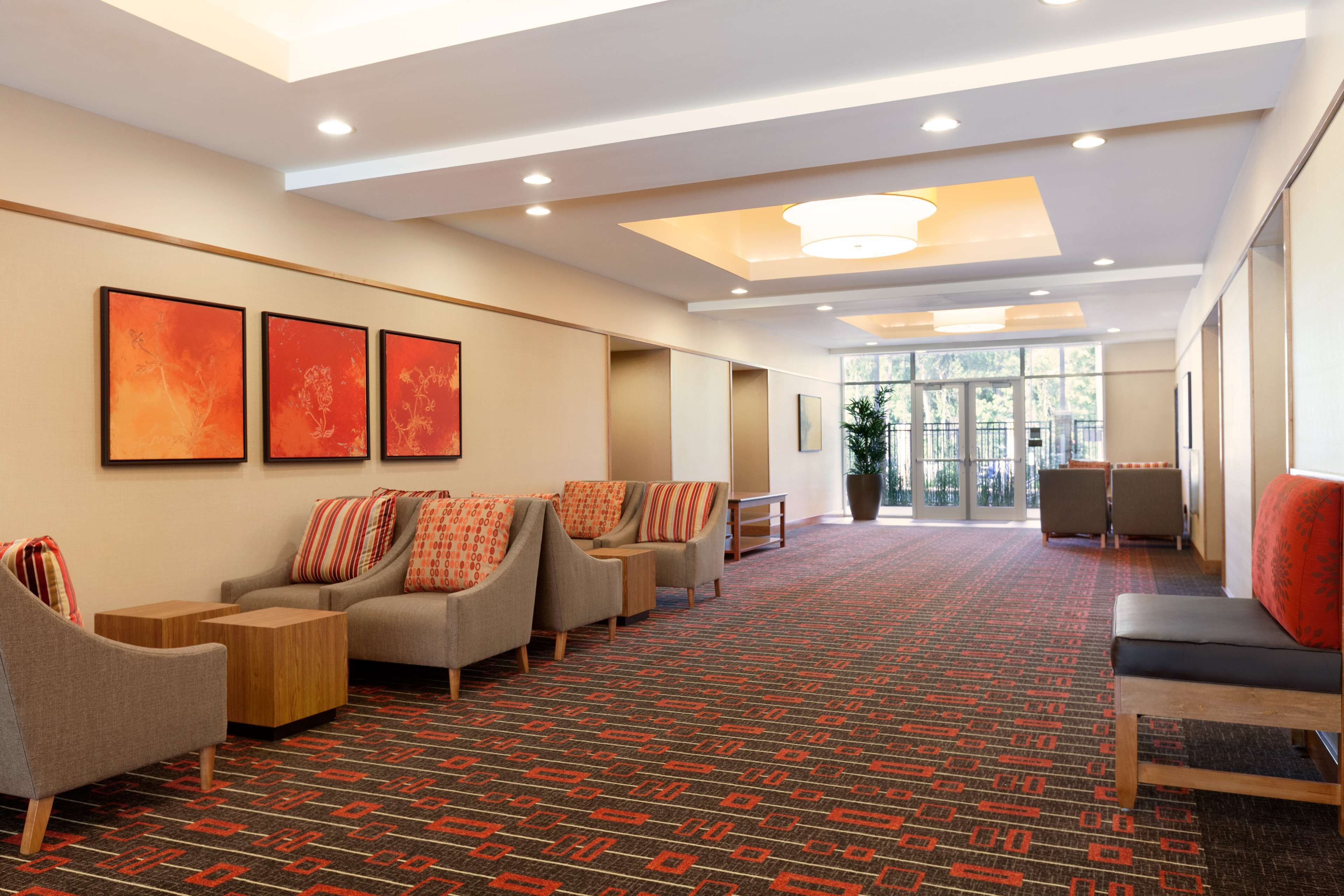 Un hall de hotel con alfombra estampada, zona de estar con sofás y sillones, obras de arte en las paredes y un ventanal que proporciona luz natural.
