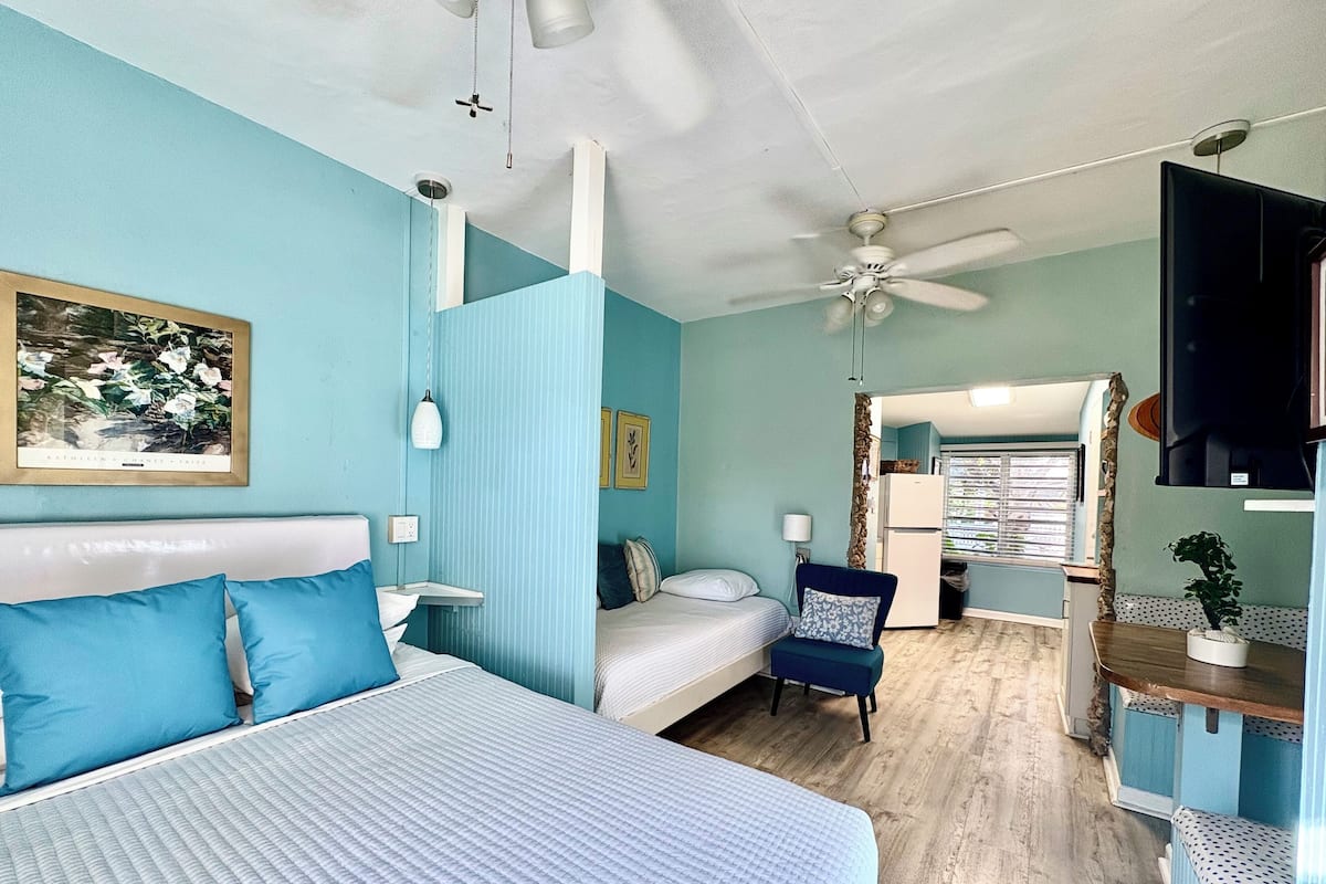 A bedroom with a bed, a chair, a desk, a TV, and a ceiling fan.