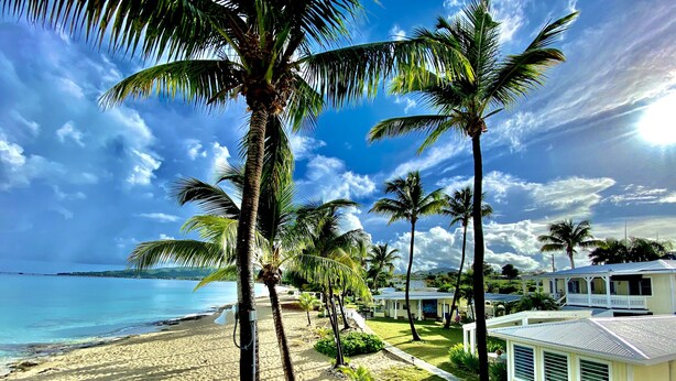 A beach with palm trees, a clear sky, and a building with a white roof. - Cottages by the Sea (Frederiksted)